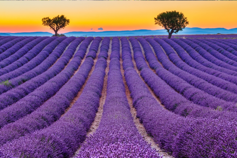 Best Places to Stay in Provence for Every Budget