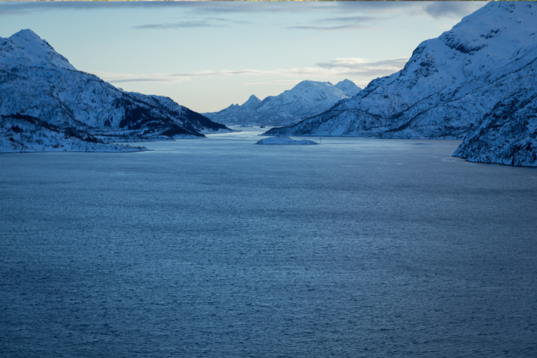 Unlocking the Nordic World: A Beginner’s Guide to Learning a Scandinavian Language