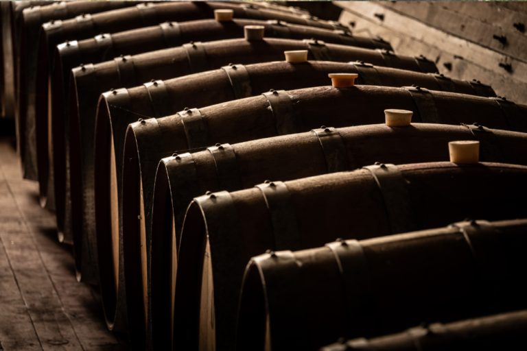 Nordic Nectar: Unearthing Scandinavia’s Hidden Gems of Wine and Beer